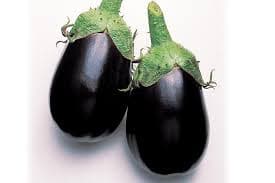 Eggplant